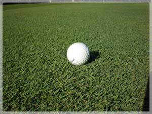 ニドムクラシックコース フェアウェイ写真