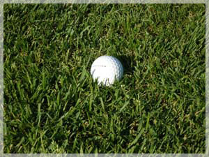 ニドムクラシックコース ラフ写真