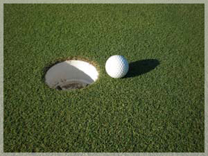 ニドムクラシックコース グリーン写真