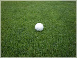 エミナゴルフクラブ フェアウェイ写真