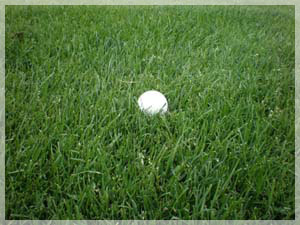 エミナゴルフクラブ ラフ写真