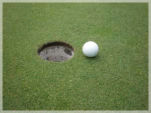 エミナゴルフクラブ グリーン写真