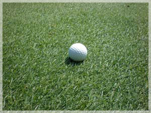 桂ゴルフ倶楽部 フェアウェイ写真