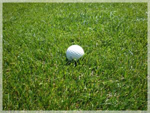 桂ゴルフ倶楽部 ラフ写真