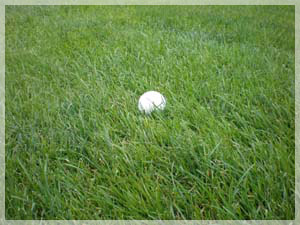 ニドムクラシックコース ラフ写真