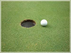 ニドムクラシックコース グリーン写真