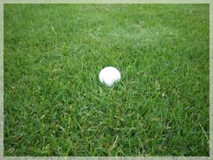 ザ・ノースカントリーゴルフクラブ ラフ写真