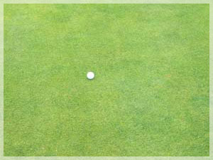 小樽カントリー倶楽部 フェアウェイ写真