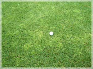 小樽カントリー倶楽部 ラフ写真