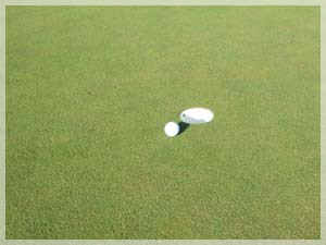 小樽カントリー倶楽部 グリーン写真