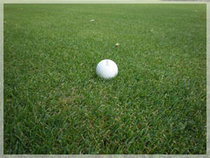 札幌国際カントリークラブ 島松コース フェアウェイ写真