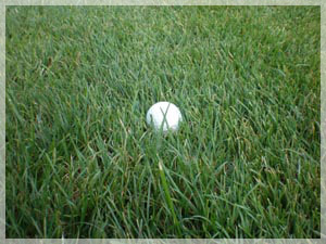 札幌国際カントリークラブ 島松コース ラフ写真