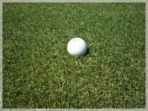 ツキサップゴルフクラブ フェアウェイ写真