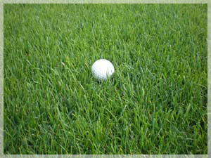 札幌ゴルフ倶楽部 輪厚コース ラフ写真