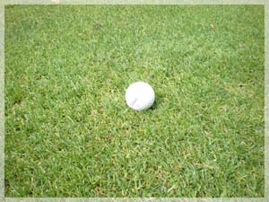 随縁カントリークラブ 恵庭コース フェアウェイ写真