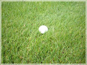 随縁カントリークラブ 恵庭コース ラフ写真