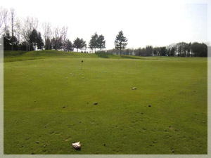 北海道クラシックゴルフクラブ 練習場 写真3