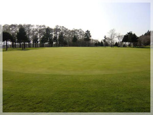 早来カントリー倶楽部 練習場 写真2