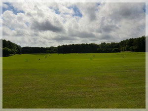 桂ゴルフガーデン 練習場 写真2