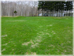 随縁カントリークラブ 恵庭 練習場 写真2