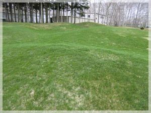 随縁カントリークラブ 恵庭 練習場 写真3