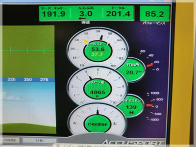 PING G20 N.S.PRO950GH/S 写真4