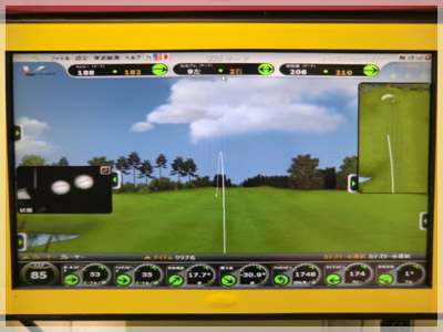 PING ラプソディ ULT220/UL 写真4