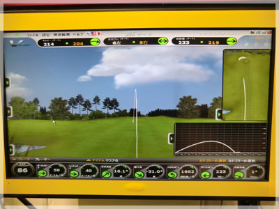 PING G30 N.S.PRO REGIO formula/R2 55 写真4