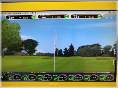 PING G30 #4 N.S.PRO 950/S 写真4