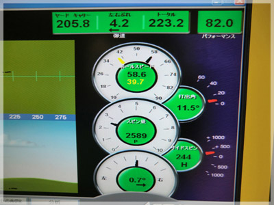 ナイキ VR PRO VR511D/S L 写真4