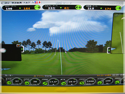 ヤマハ リミックス216 クロカゲ XM60/S 写真4