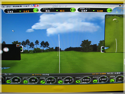 ヤマハ リミックス 116 ツアーブレード DG-S200 写真4