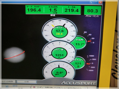 キャロウェイ ビッグバーサー アッタス5 GOGO/6S フェード 写真4