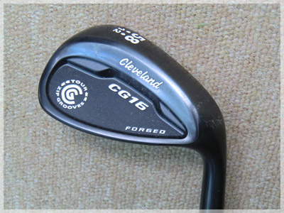 CG16フォージド ダイナミックゴールドS200 写真1