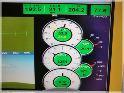 タイトリスト VG3H N.S950GH/S 写真4