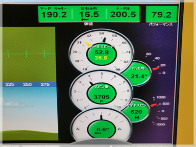 タイトリスト VG3H モトーレH/S 写真4