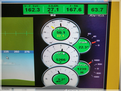 タイトリスト VG3 アイアン ダイナミックゴールドS200 写真4