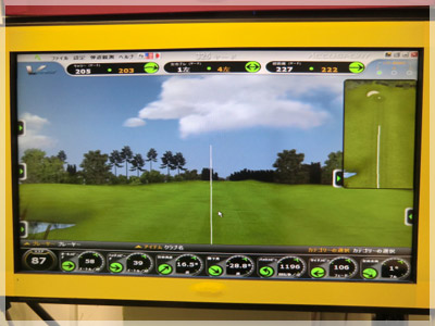 タイトリスト 915 D2 SPEEDER661エボリューション/S 写真4