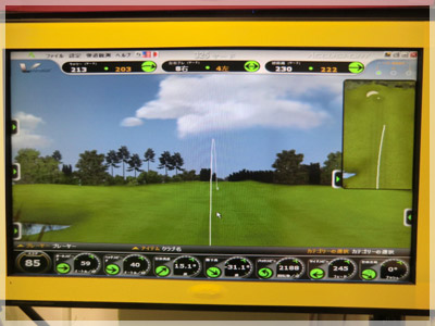 タイトリスト 915 D2 SPEEDER757エボリューション/S 写真4