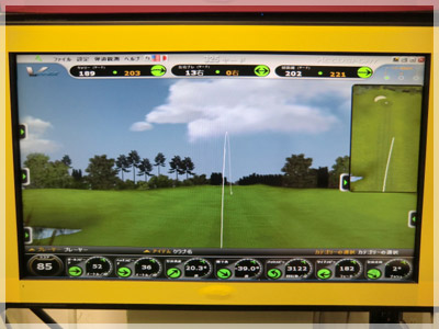 タイトリスト 915H ダイナミックゴールドS200 写真4