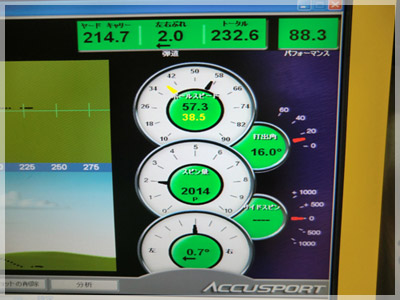 スリクソン Z725 ミヤザキ KENA ブルー6S UN 写真4