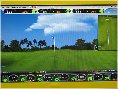 XXIO 9 フェアウェイウッド MP900/SR 写真4