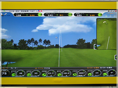 XXIO 9 アイアン N.S.PRO 890 GH D.T.S for XXIO/S 写真4