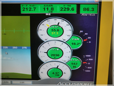 テーラーメイド R11J Ti モトーレ50/SR N/LOW 写真4